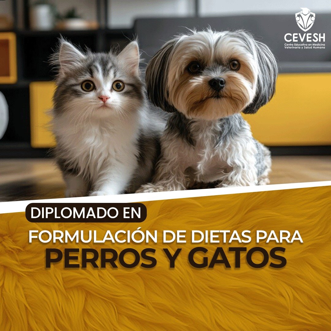 Formulación Perros y Gatos